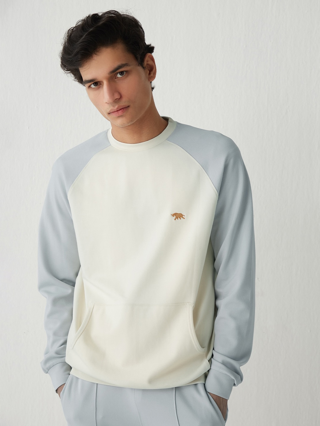 

Andamen Men Beige Colourblocked Sweatshirt