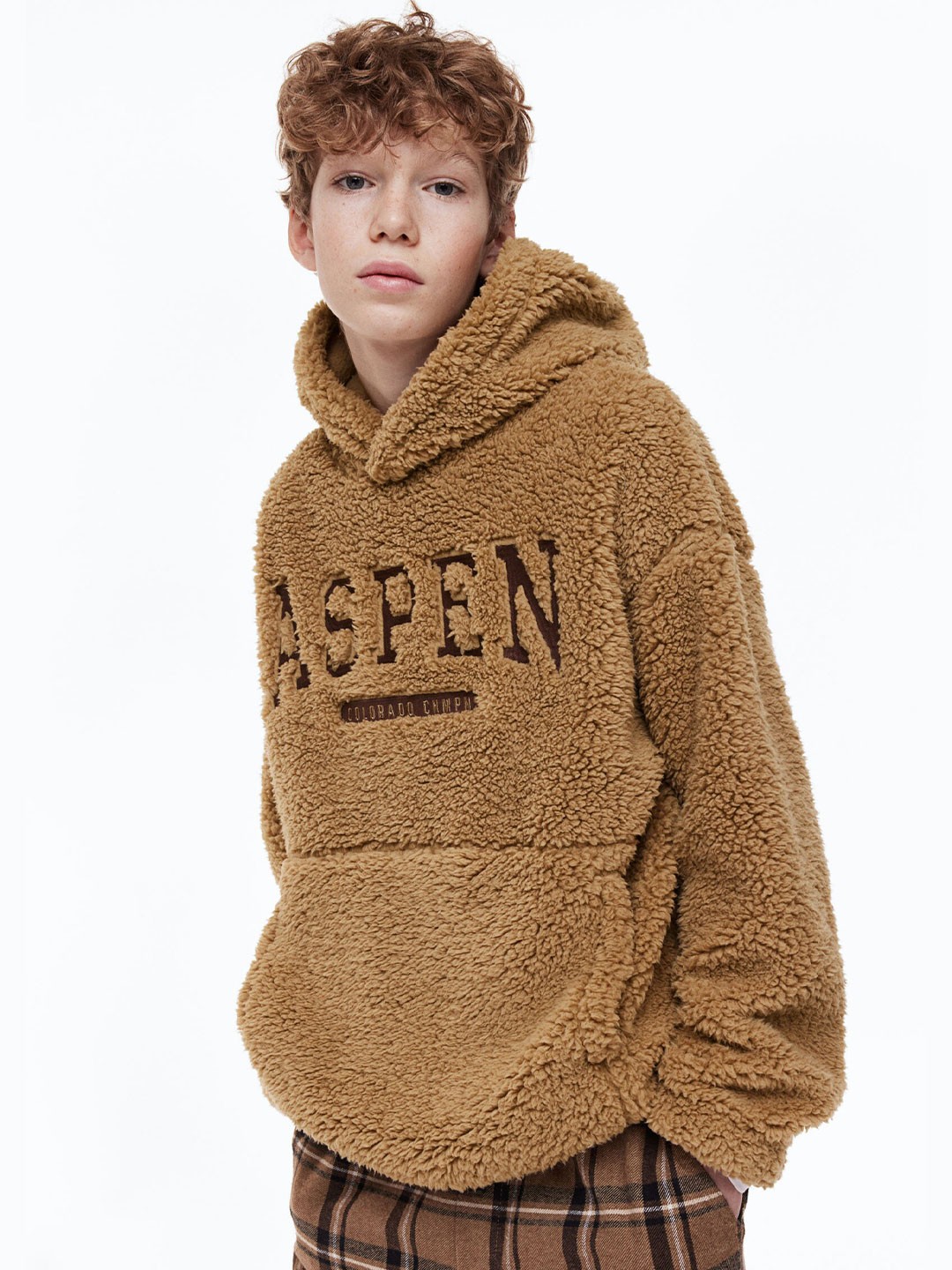 

H&M Boys Pullover Teddy Hoodie, Beige