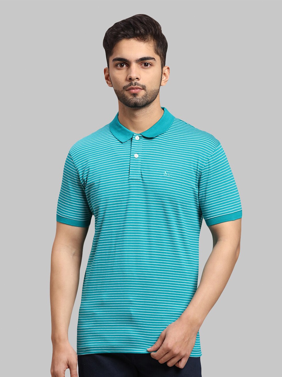 

Parx Men Green Striped Polo Collar Cotton T-shirt