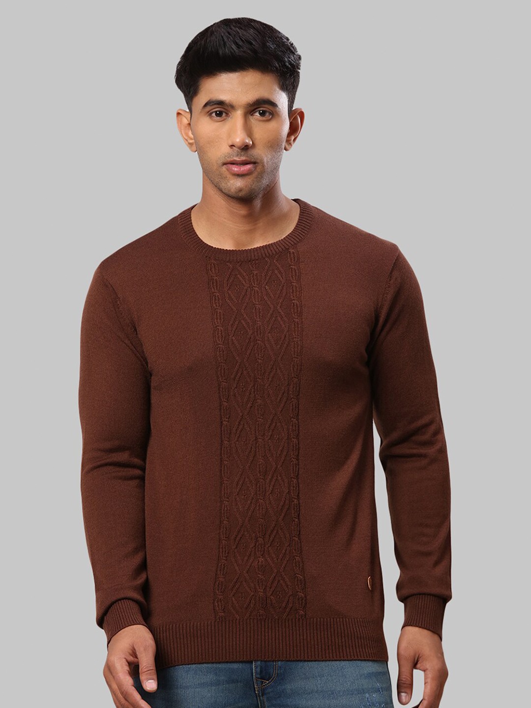 

Raymond Men Brown Pullover