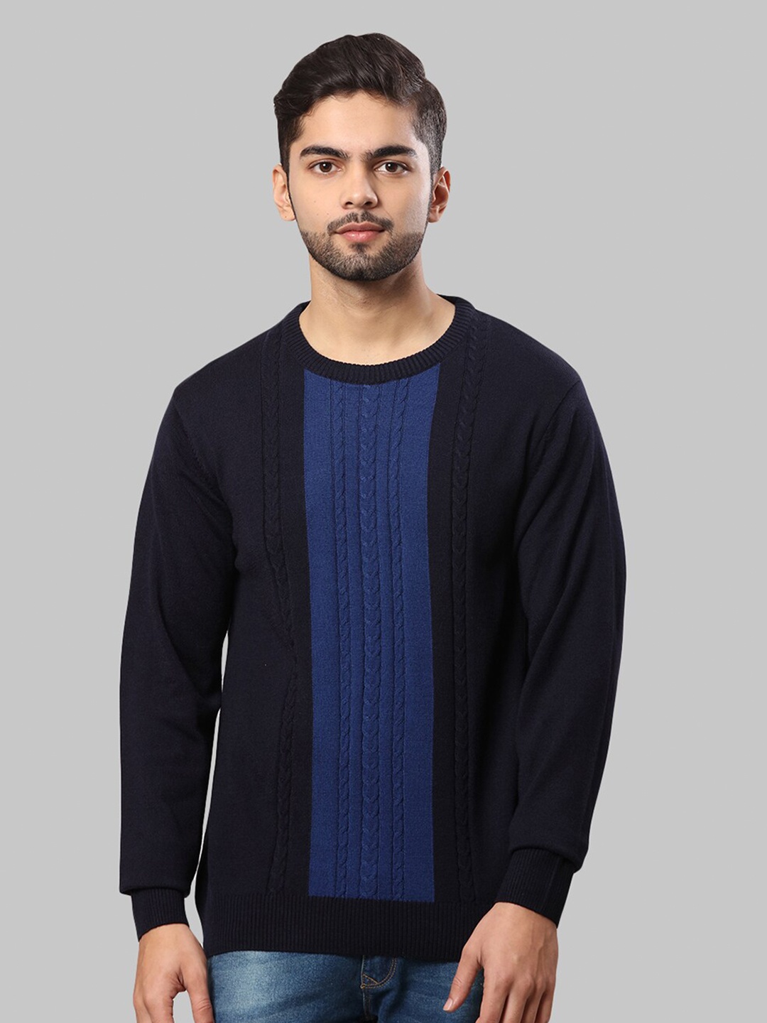 

Raymond Men Navy Blue & Blue Cable Knit Pullover Sweater