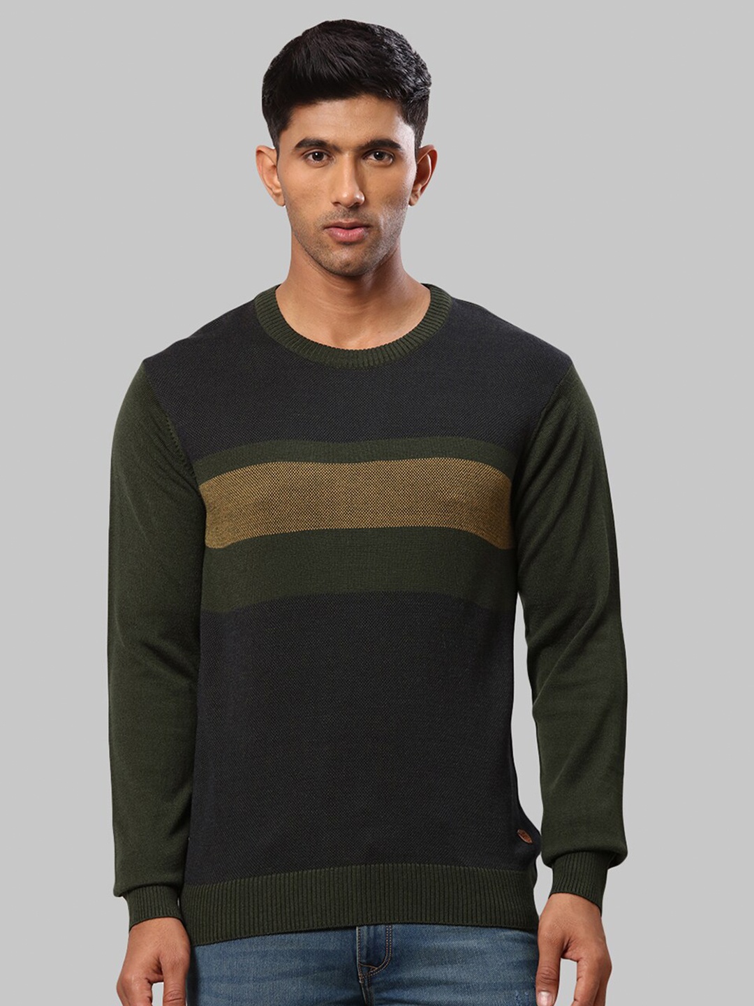 

Raymond Men Black & Green Colourblocked Pullover Sweater