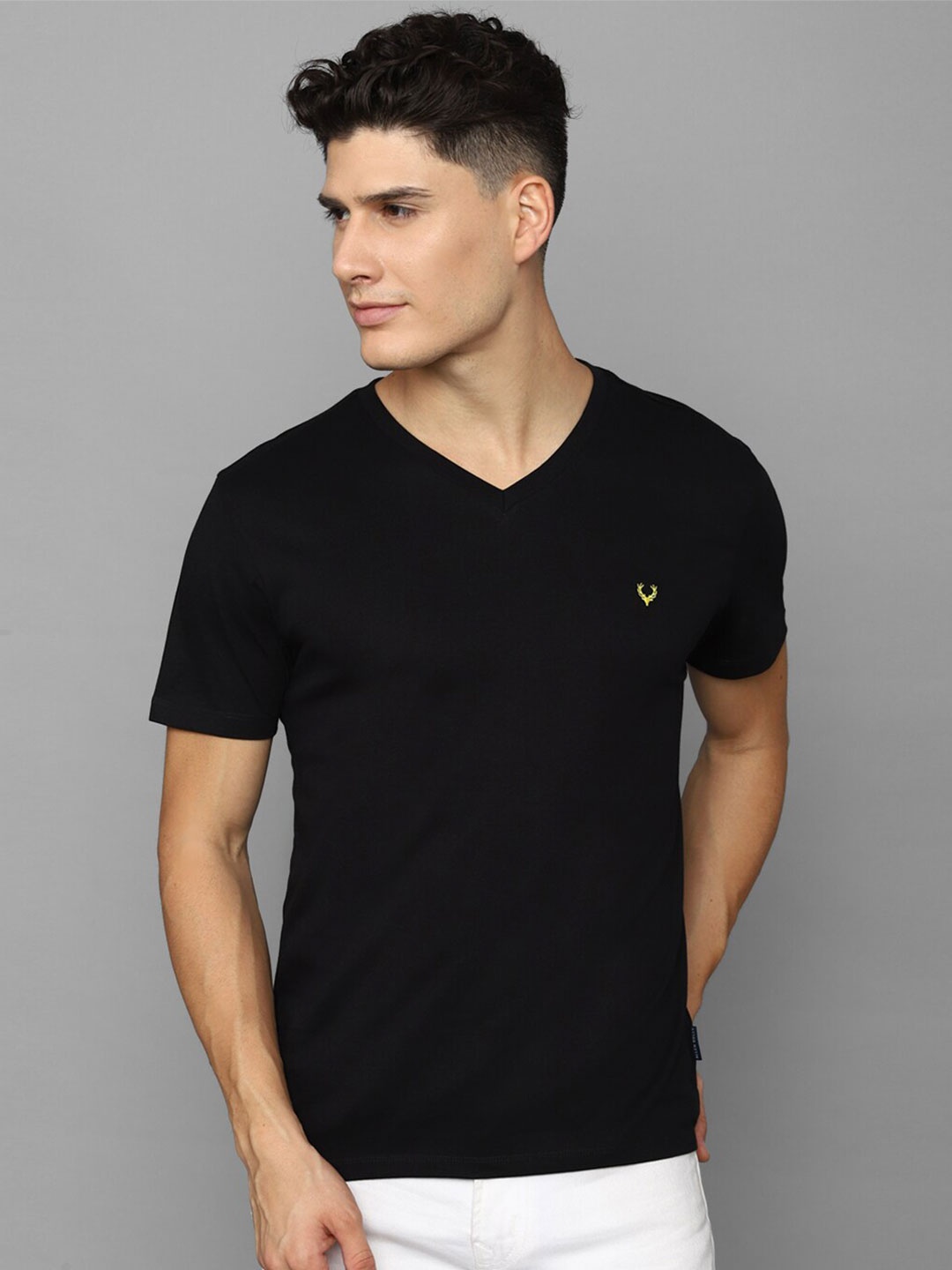 

Allen Solly Men Solid Cotton V-Neck T-shirt, Black