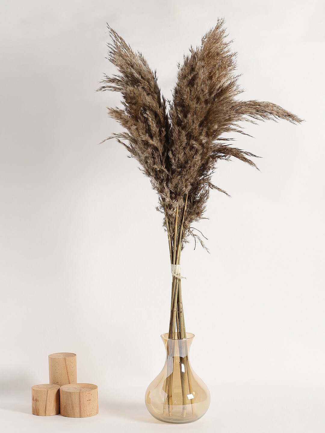 

Bonhomie Brown Pampas Grass Dried Natural Decorative Bouquet
