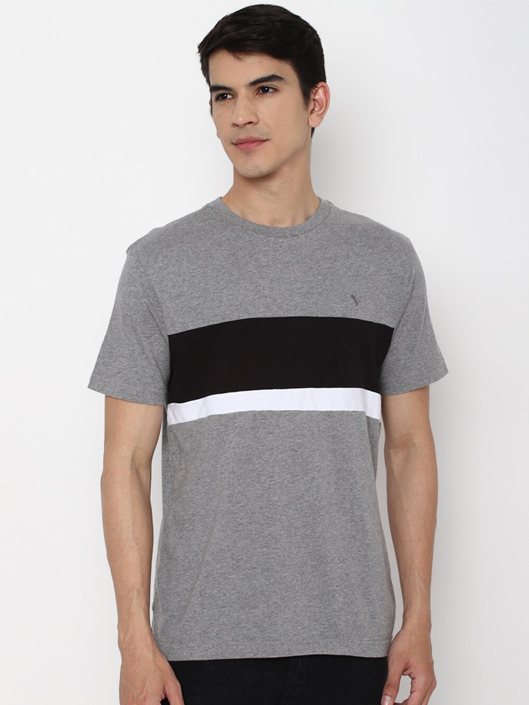 

AMERICAN EAGLE OUTFITTERS Men Colourblocked T-shirt, Grey