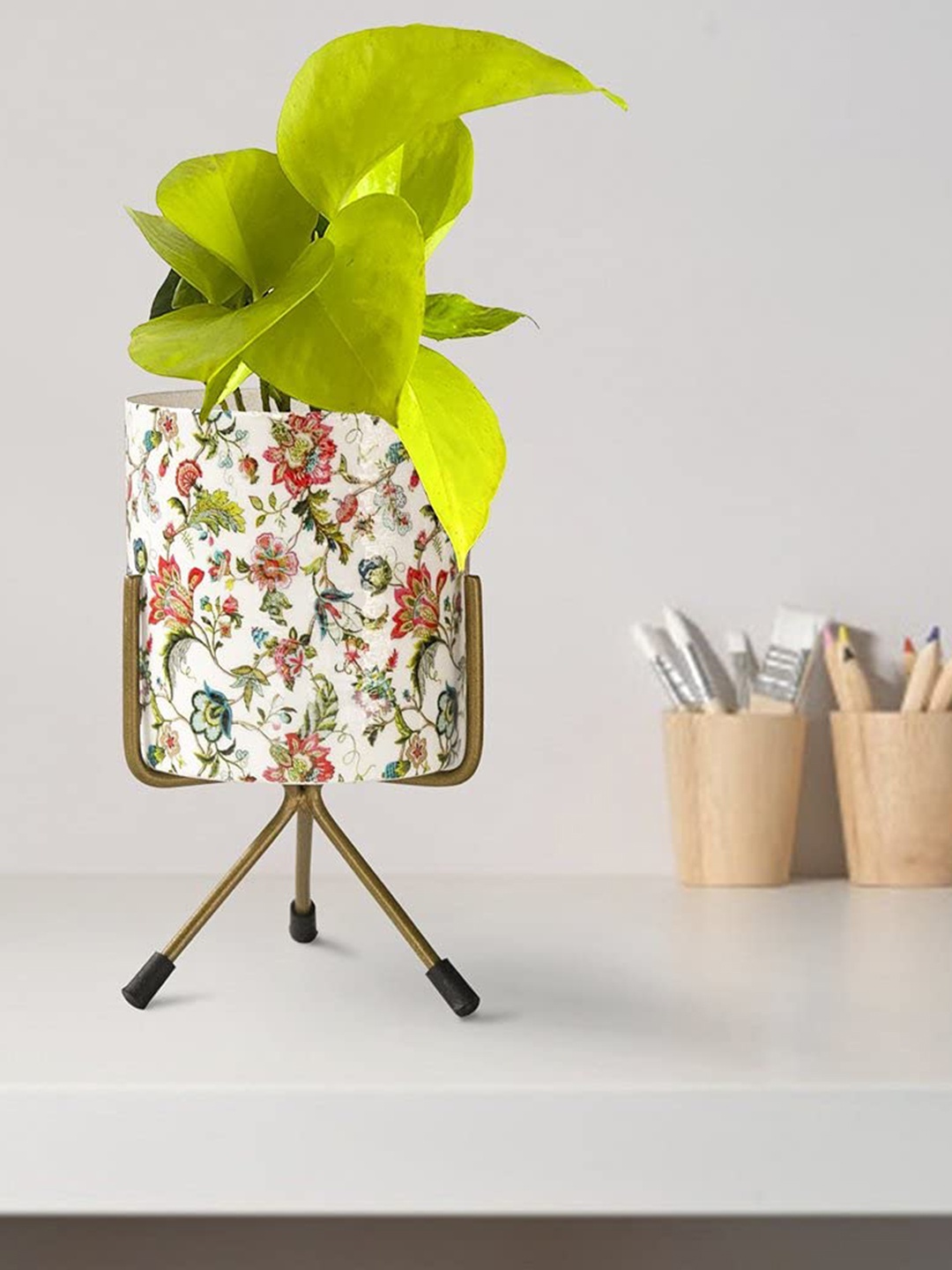 

TRUSTBASKET Green & White Printed Elantra Planter