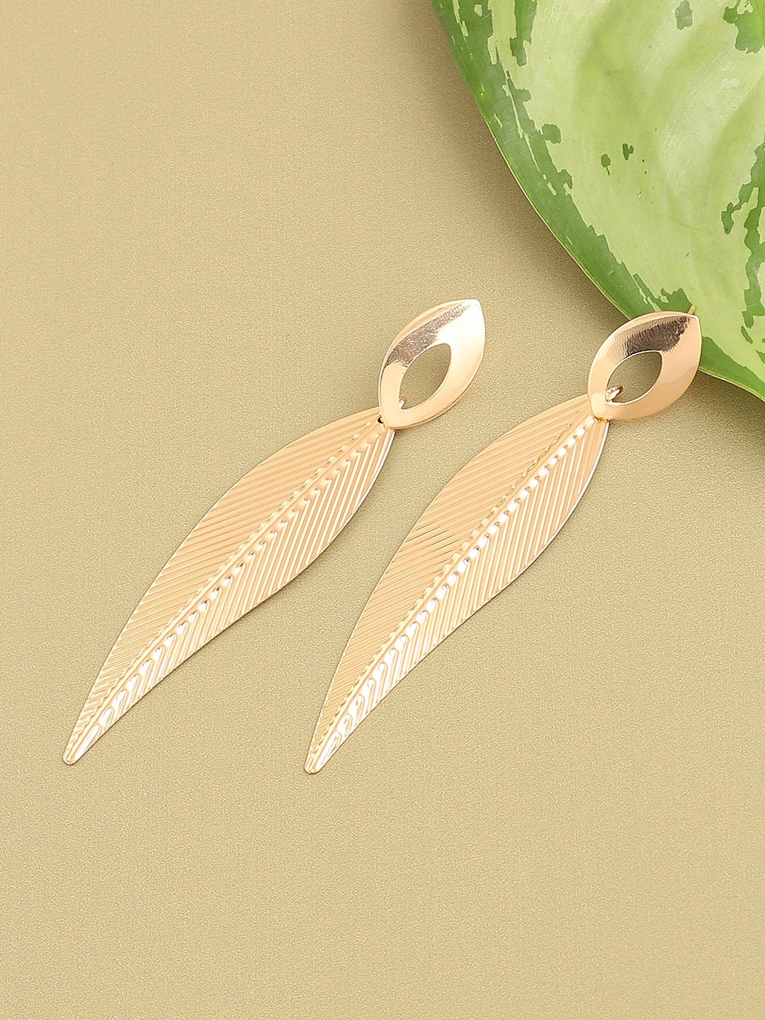 

SOHI Gold-Plated Leaf Shaped Drop Earrings