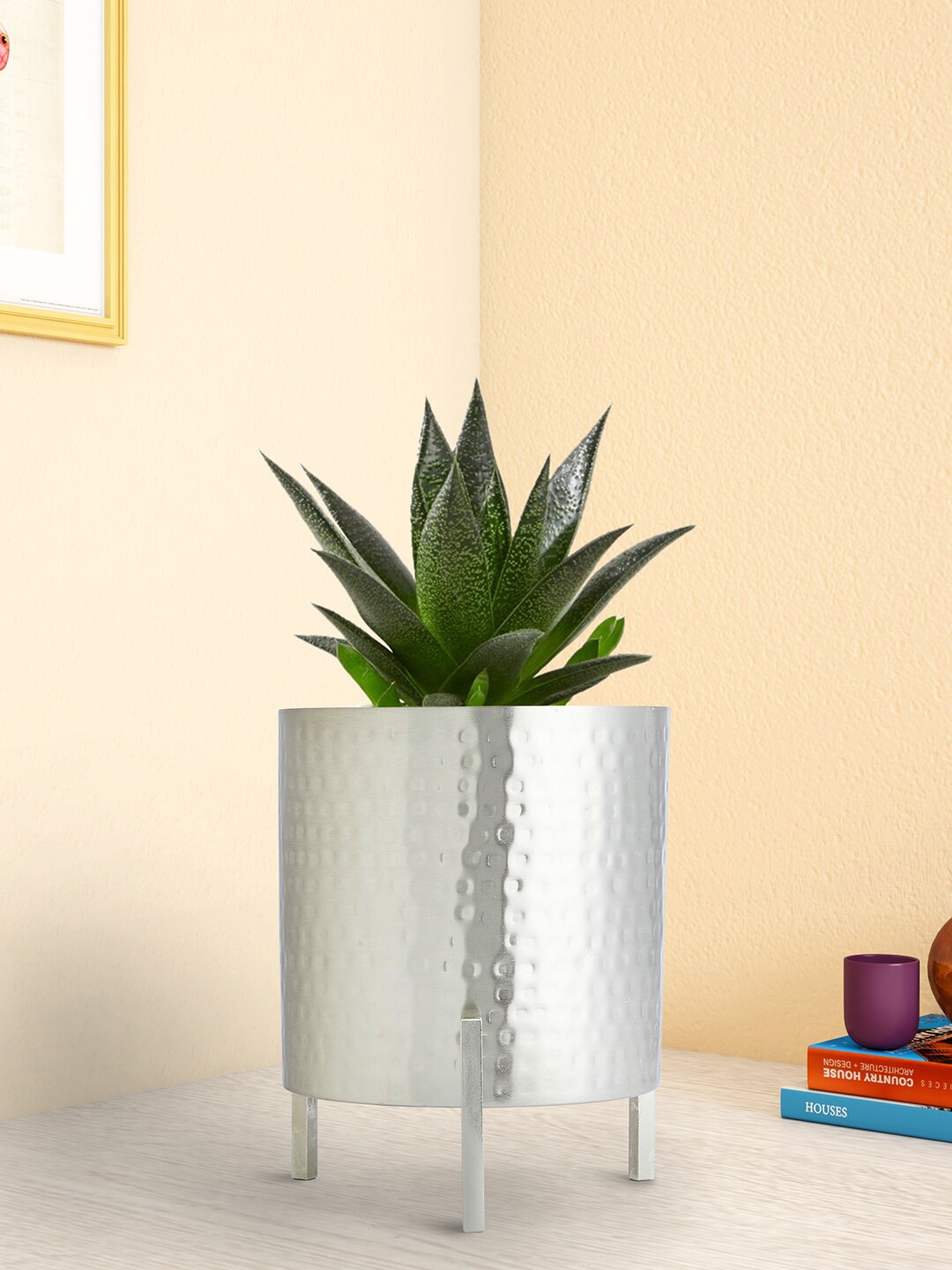 

Living scapes by Pantaloons Textured Planters, Grey