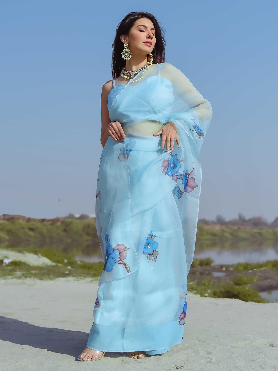 

AACHHO Women Zinfandel Embellished Handpainted Organza Silk Saree, Blue