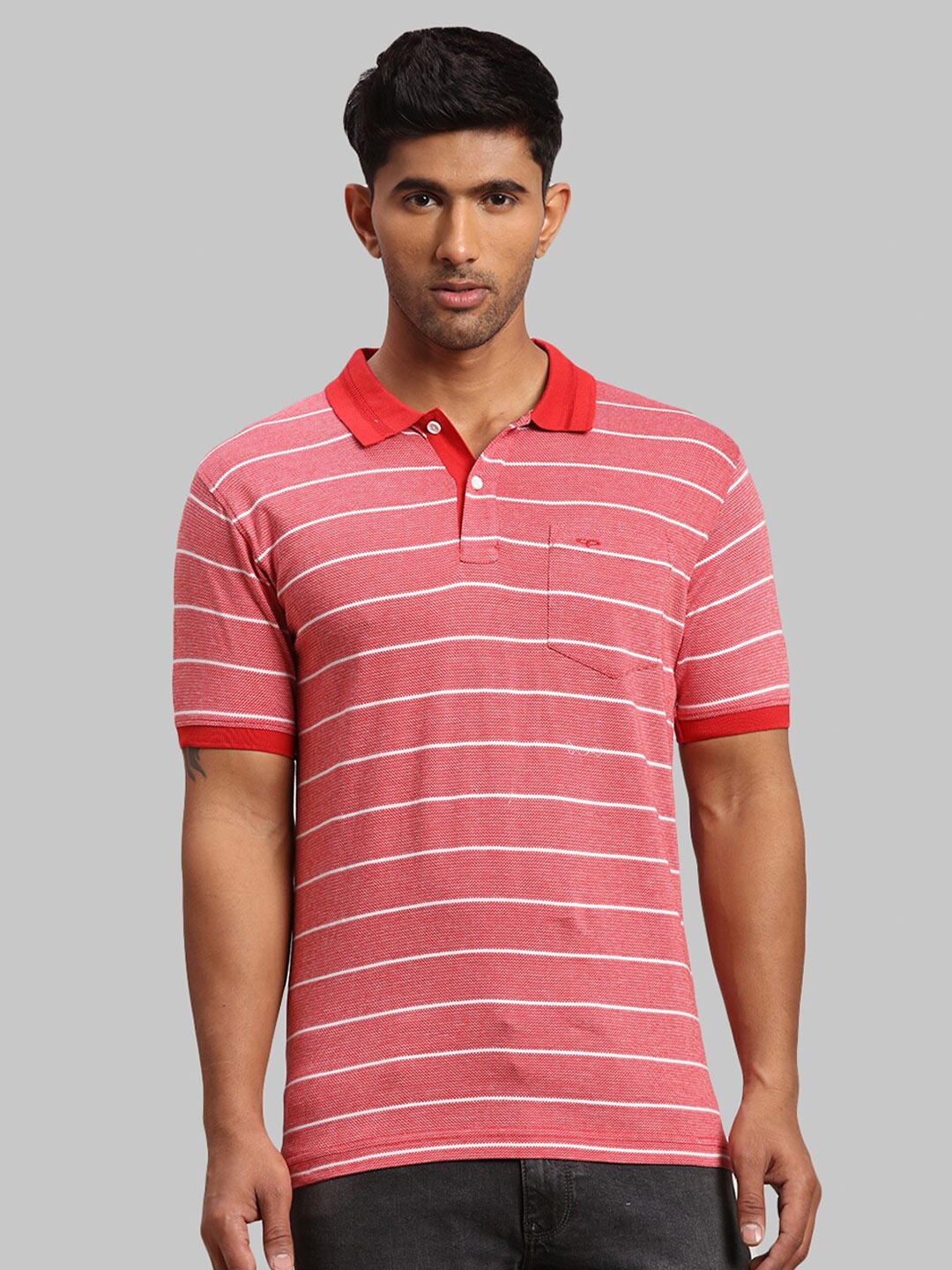 

ColorPlus Men Striped Polo Collar Cotton T-shirt, Red