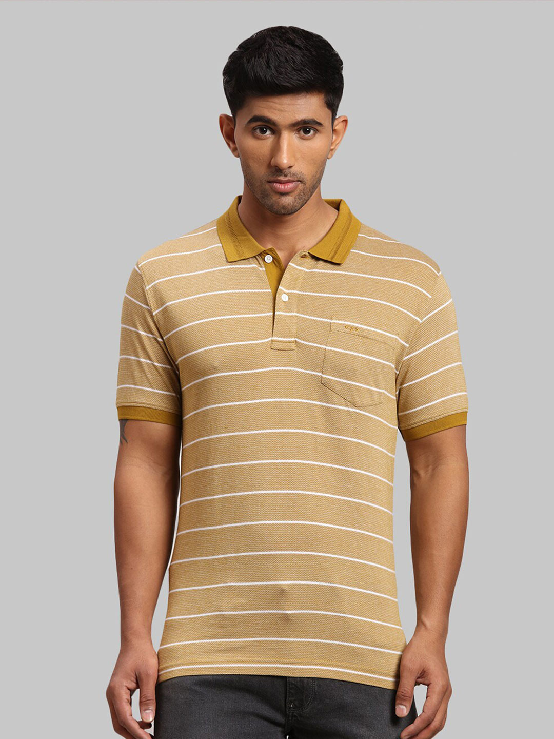 

ColorPlus Striped Polo Collar Cotton T-shirt, Brown