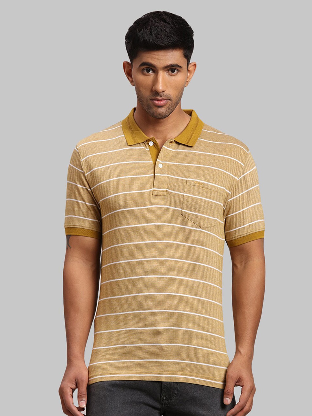 

ColorPlus Striped Polo Collar Cotton T-shirt, Brown