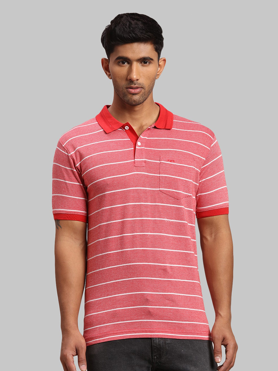 

ColorPlus Men Cotton Striped Polo Collar T-shirt, Maroon