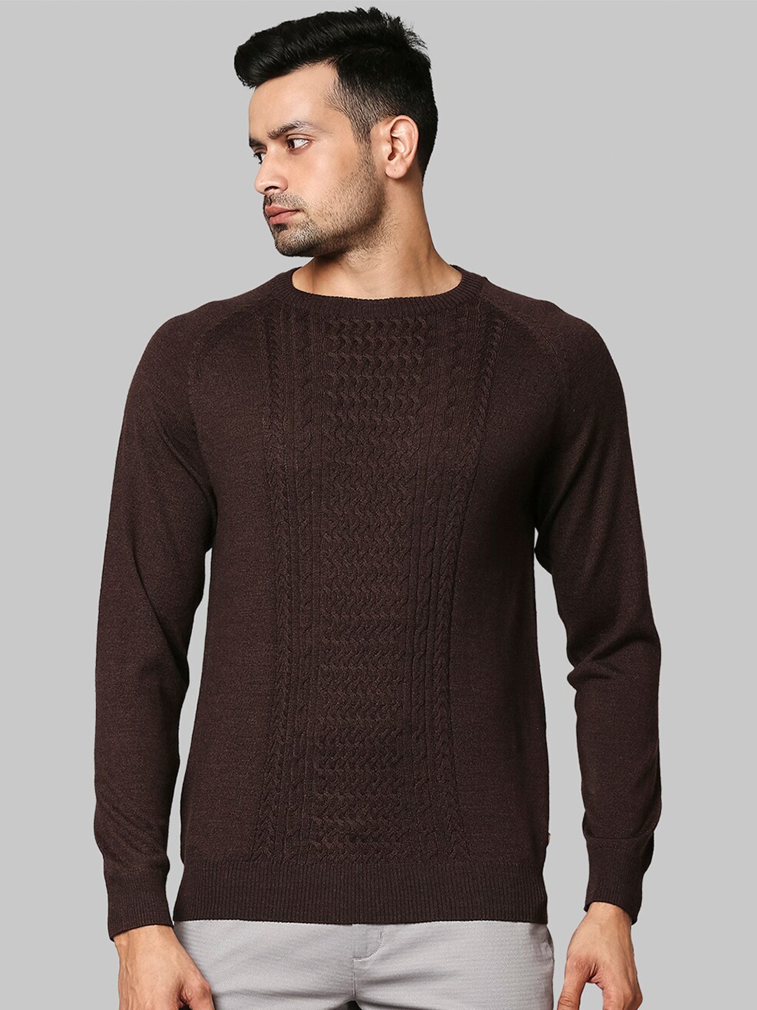 

Raymond Men Round Neck Pullover Sweater, Brown