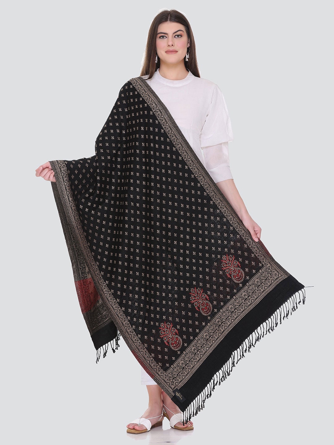

KANIGARI Women Ethnic Motifs Woven Design Wool Stole, Black