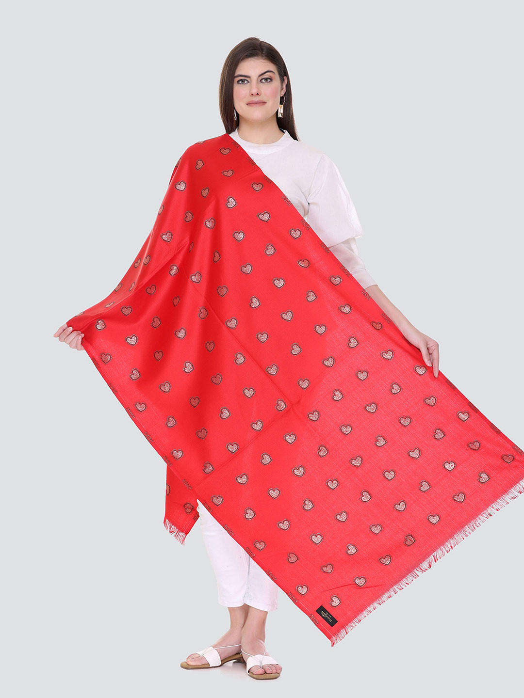 

KANIGARI Women Woven Design Stole, Red
