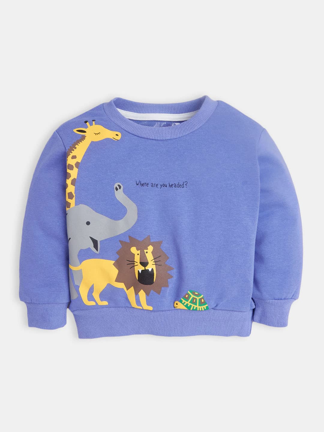 

Hopscotch Boys Printed Sweatshirt, Blue