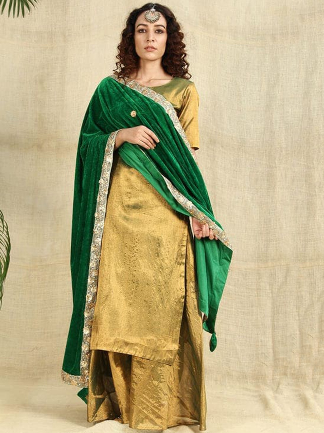 

SHADES Women Embroidered & Laced Velvet Shawl, Green