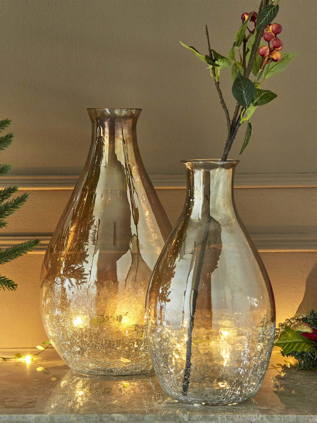 

Home Centre Carols Rose & Silver Ombre Printed Glass Vase