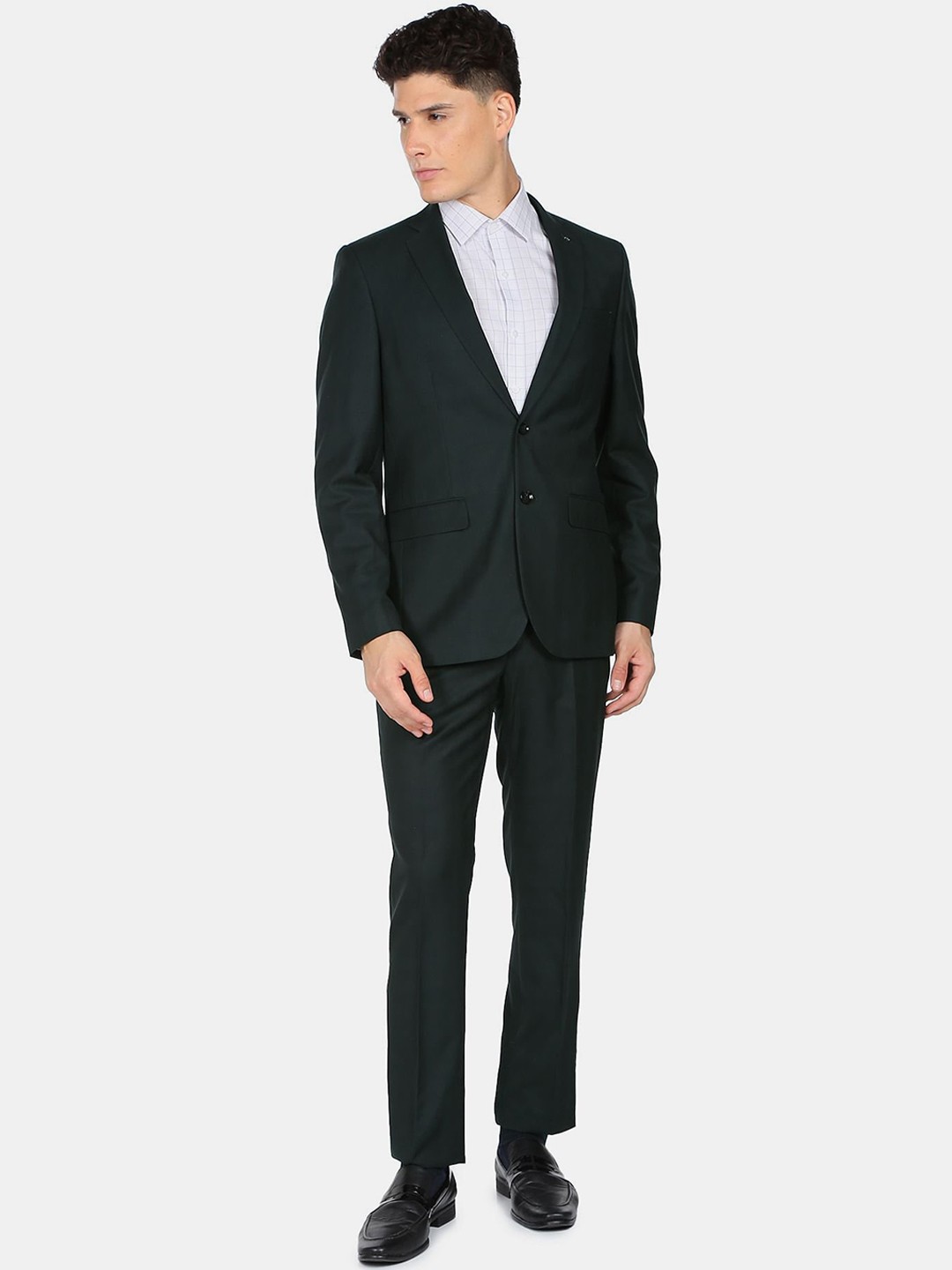 

Arrow Men Checked Single-Breasted Two-Piece Formal Suit, Green