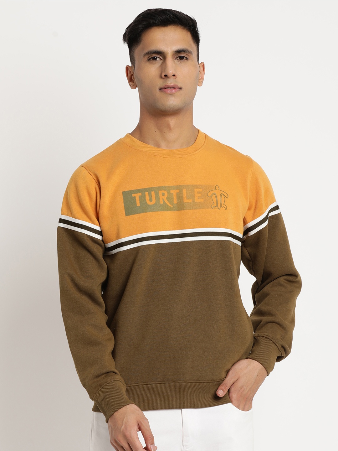 

Turtle Men Colourblocked Pullover Sweatshirt, Olive
