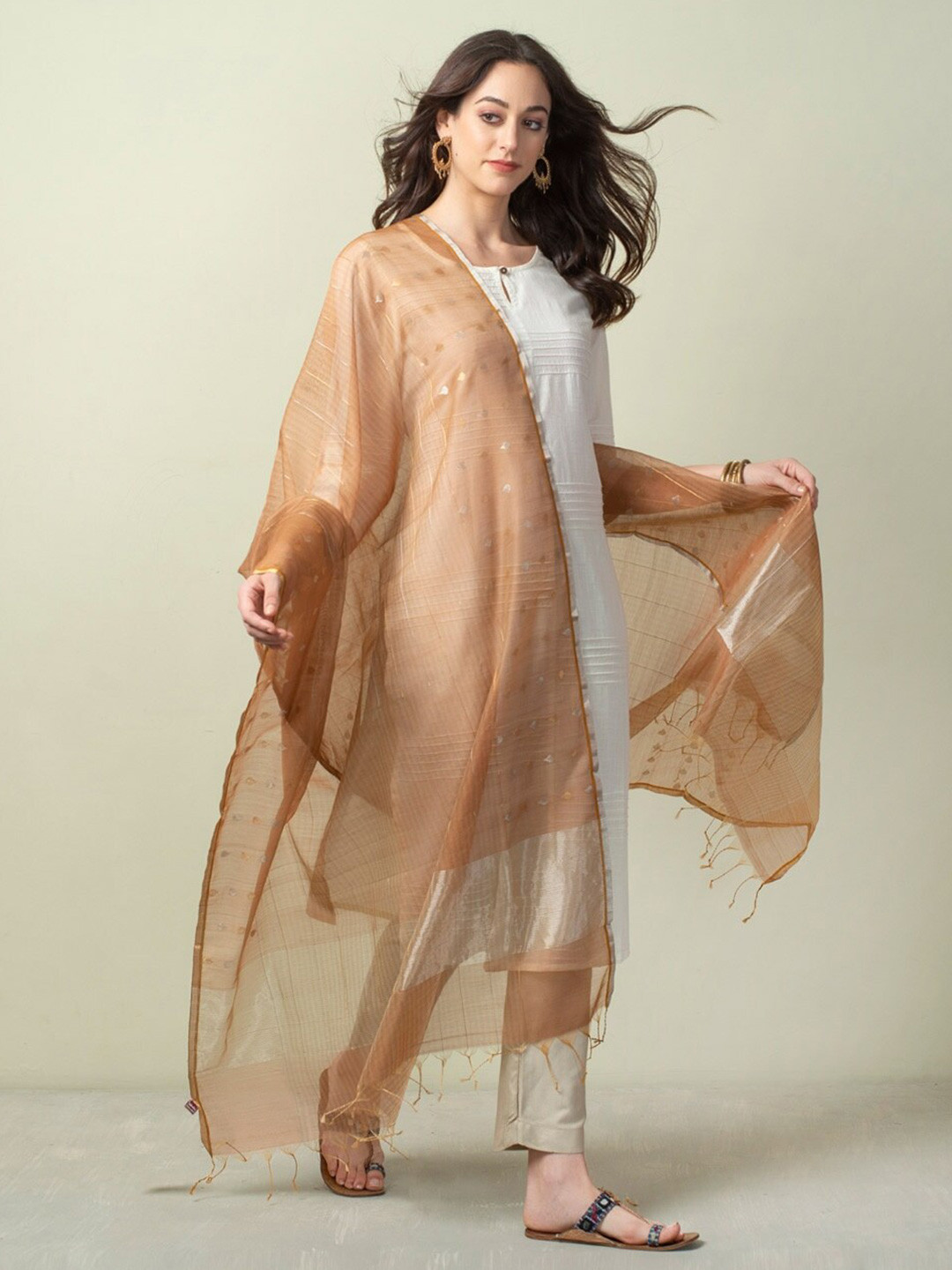 

Fabindia Woven Design Cotton Silk Dupatta with Zari, Beige