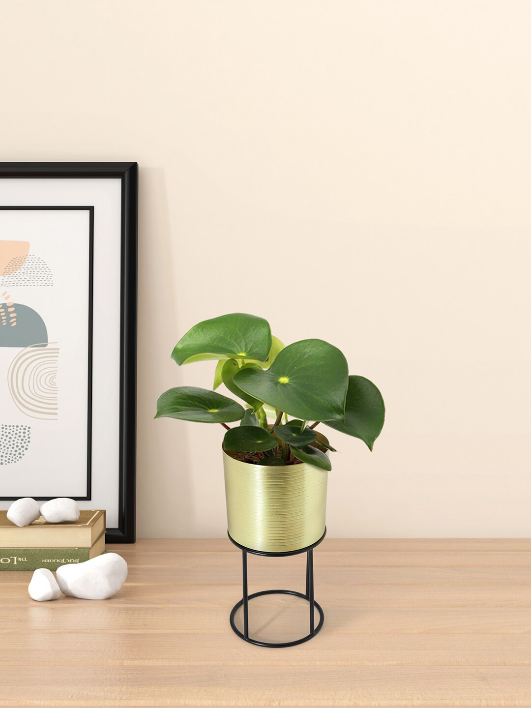

Living scapes by Pantaloons Gold-Toned Planter