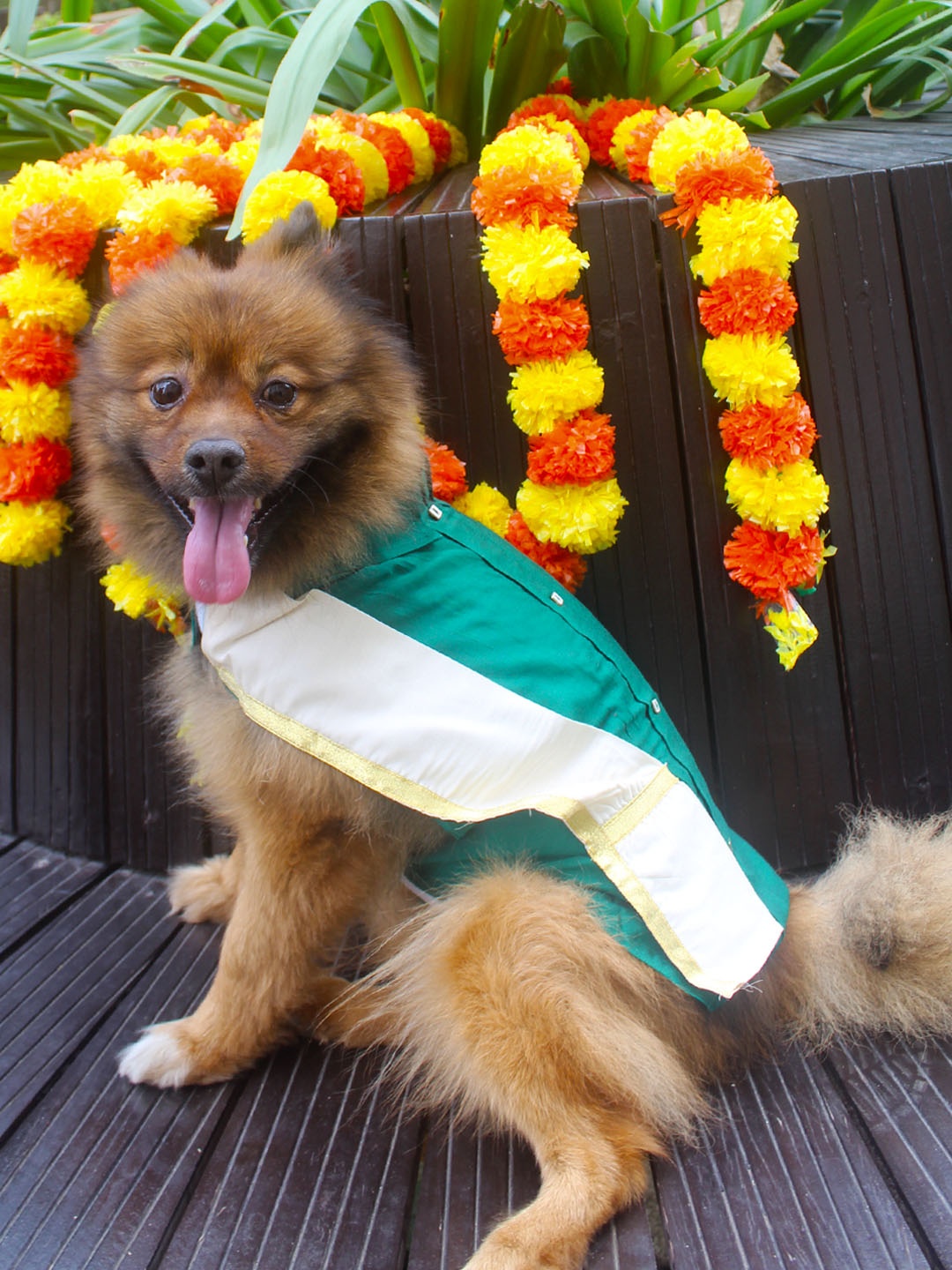 

VASTRAMAY Shirt With Angavastaram Dog Dresses, Green