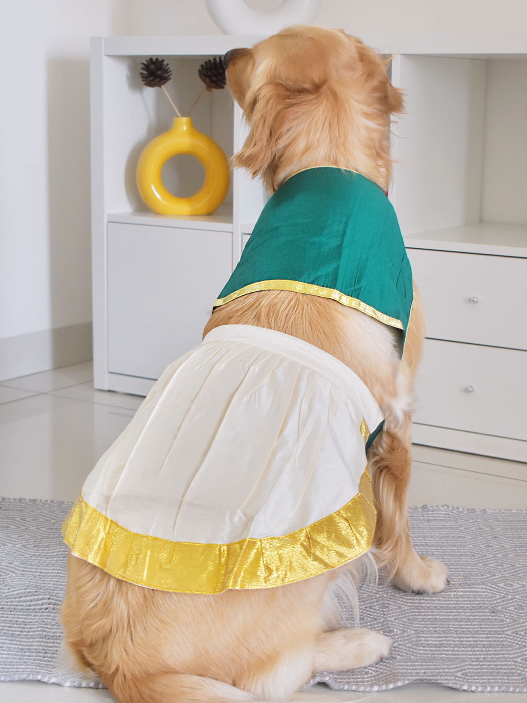 

VASTRAMAY Lehenga Choli Dog Dress, Green