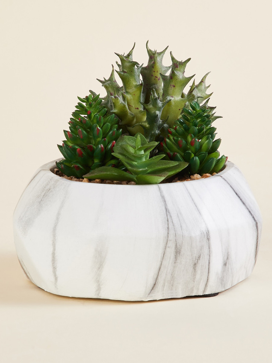 

Home Centre Eternity White & Green Textured Artificial Mixed Succulent Plants With Pot