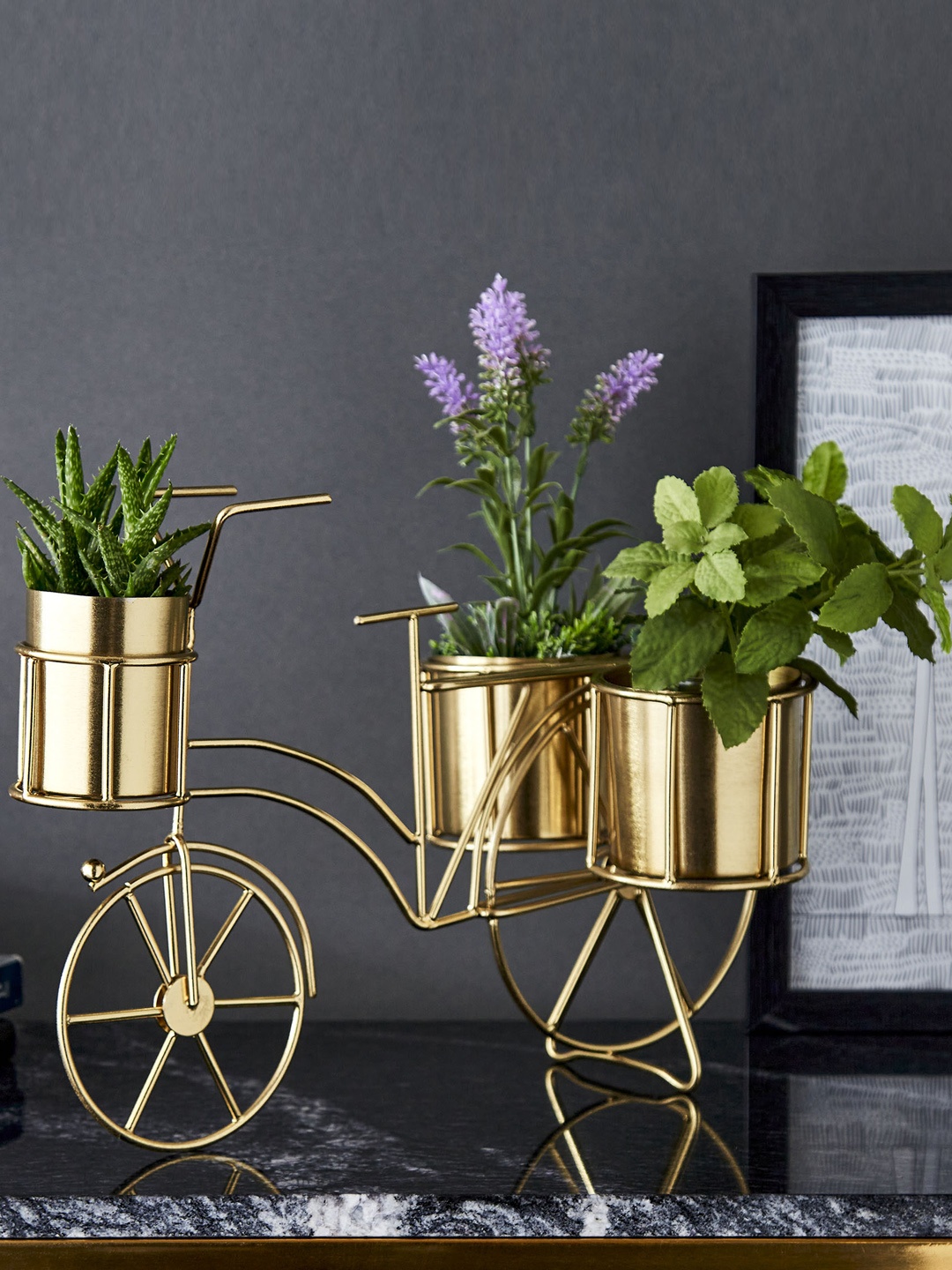 

Home Centre Valencia Shaft Gold-Toned Textured Metal Cycle Planter