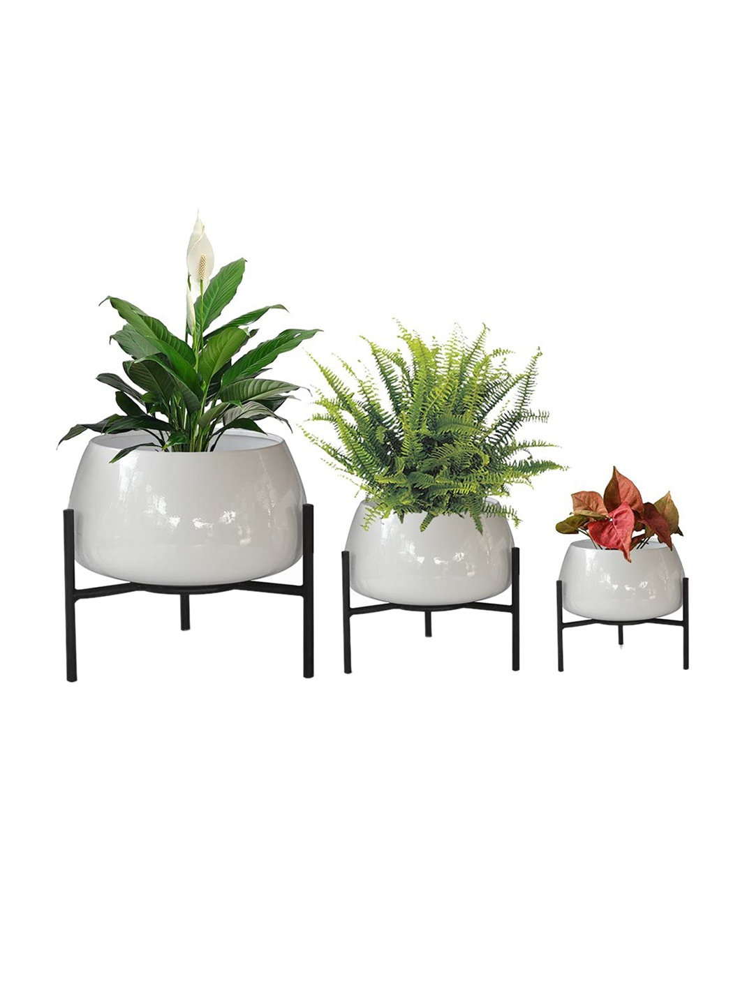 

TRUSTBASKET Indus Set Of 3 Black & White Metal Planter Pots with Stands