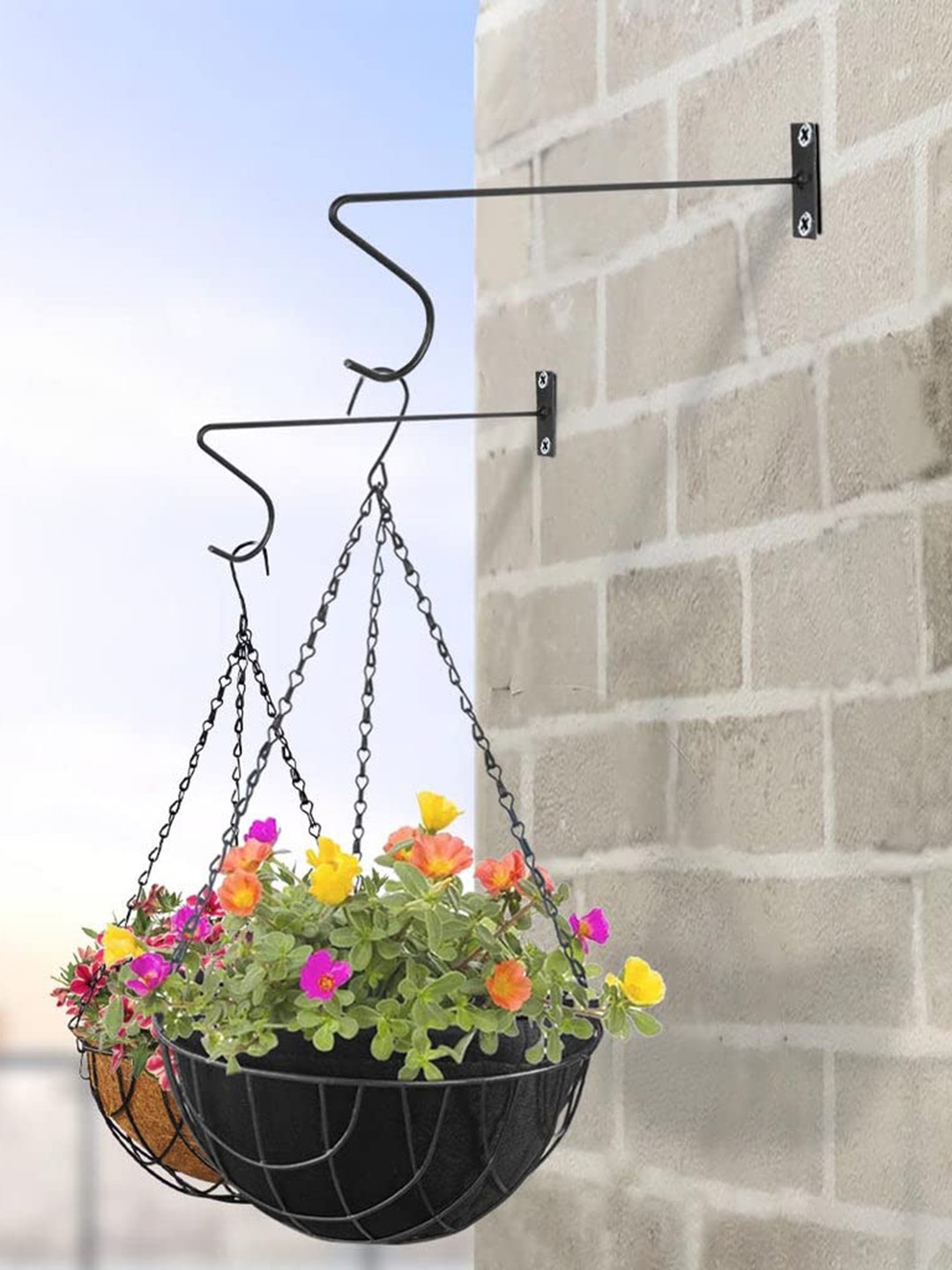 

TRUSTBASKET Set Of 10 Black Angus Wall Bracket Hanging Planter