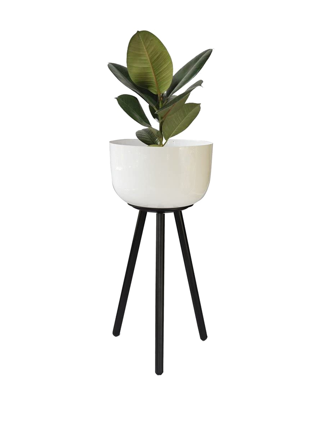 

TRUSTBASKET Green & White Planter With Stand