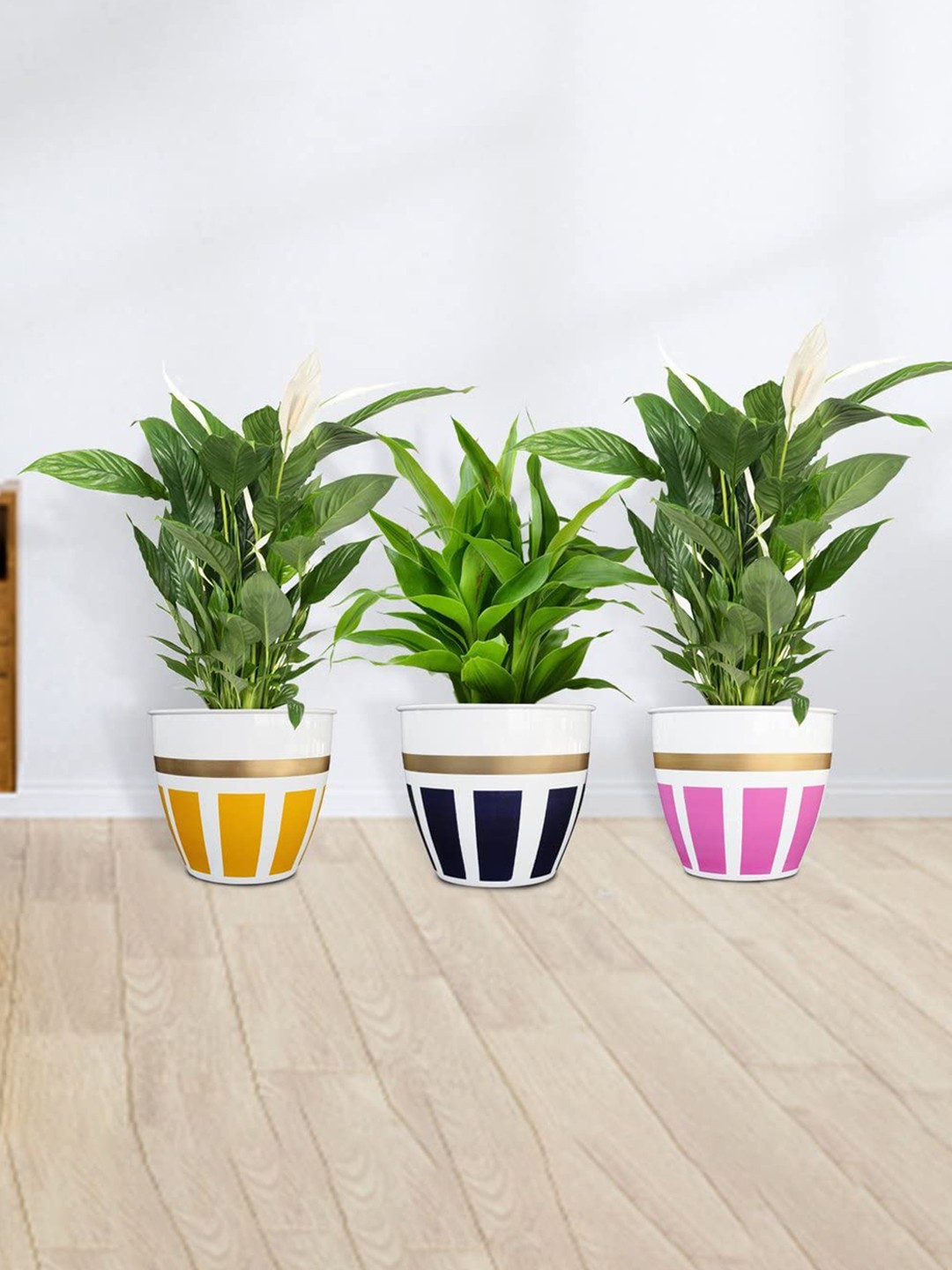 

TRUSTBASKET Galaxy 3 Pieces Printed Planters, White