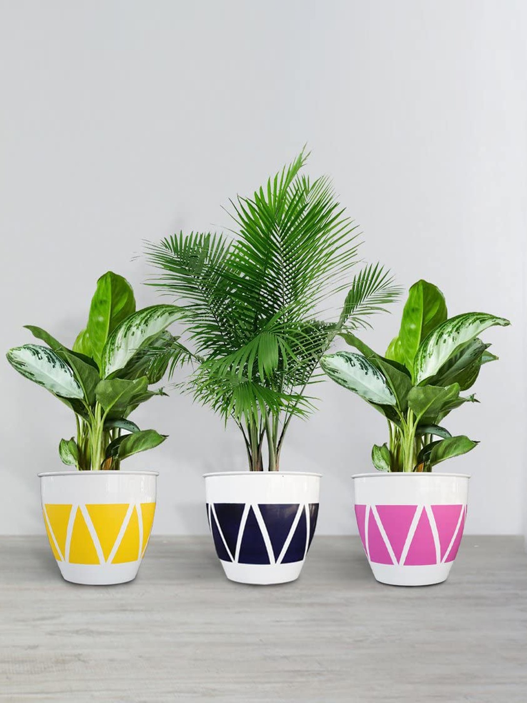 

TRUSTBASKET Ciara Set Of 3 Printed Planters, White