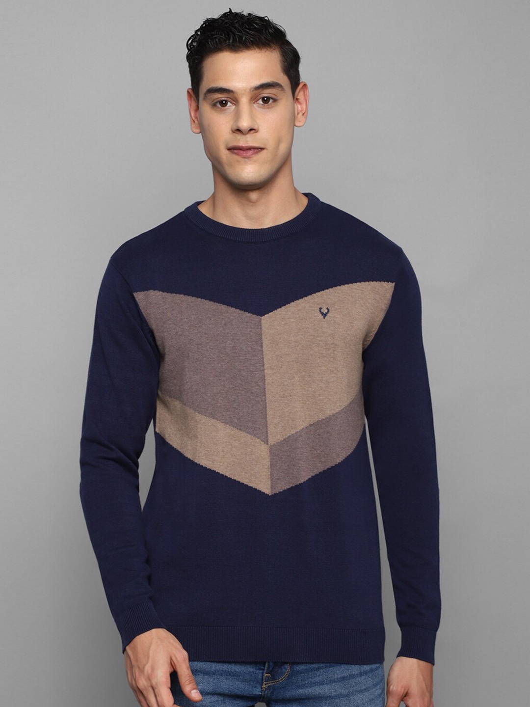 

Allen Solly Men Colourblocked Cotton Pullover, Navy blue