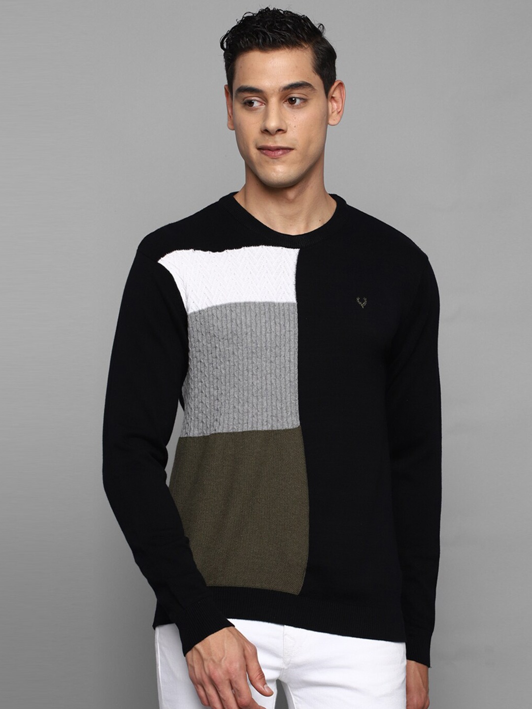 

Allen Solly Men Colourblocked Cotton Pullover, Black