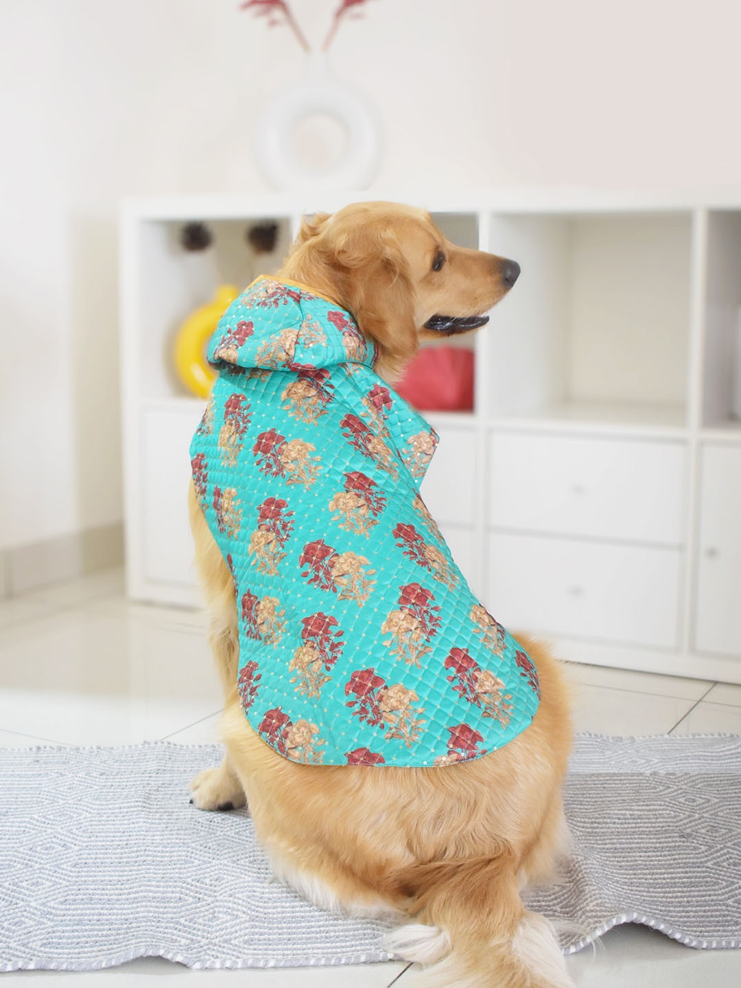 

VASTRAMAY Sequins Hooded Dogs Sweatshirt, Green