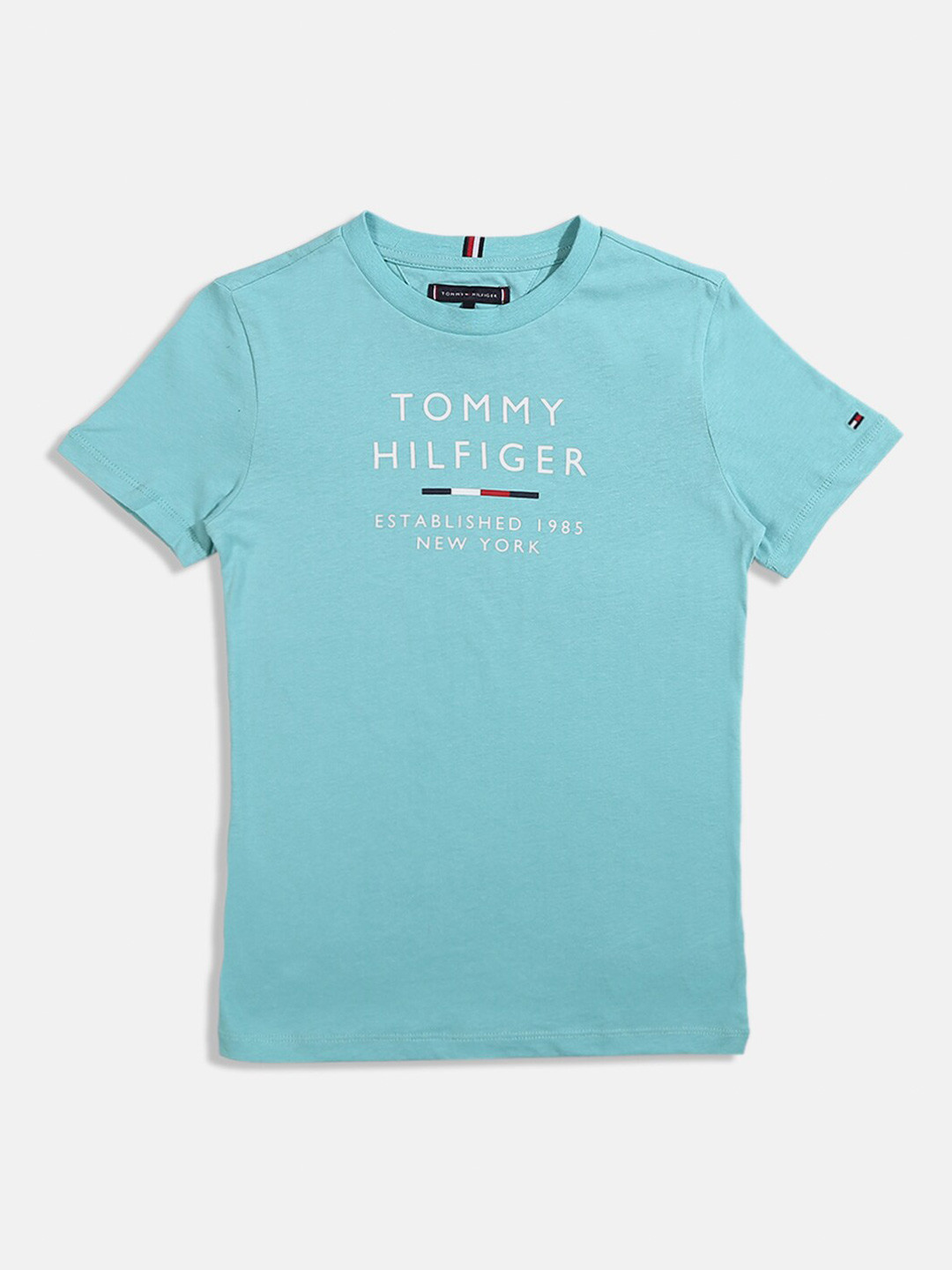 

Tommy Hilfiger Boys Typography Printed Cotton T-shirt, Blue