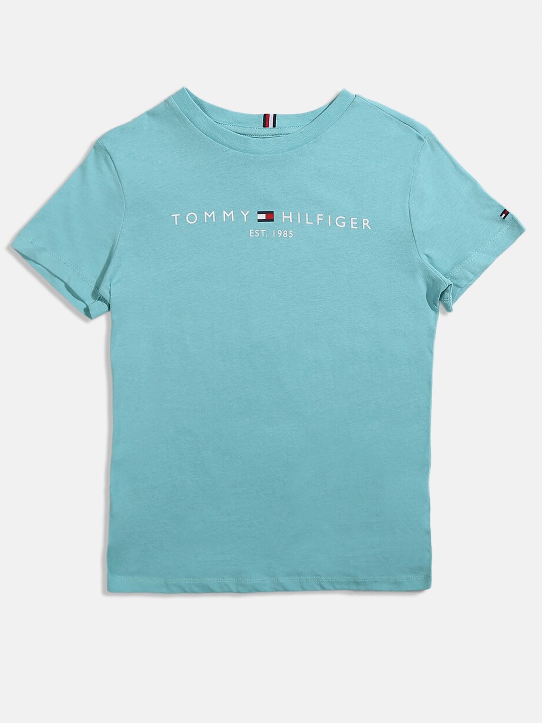 

Tommy Hilfiger Boys Typography Printed Cotton T-shirt, Blue