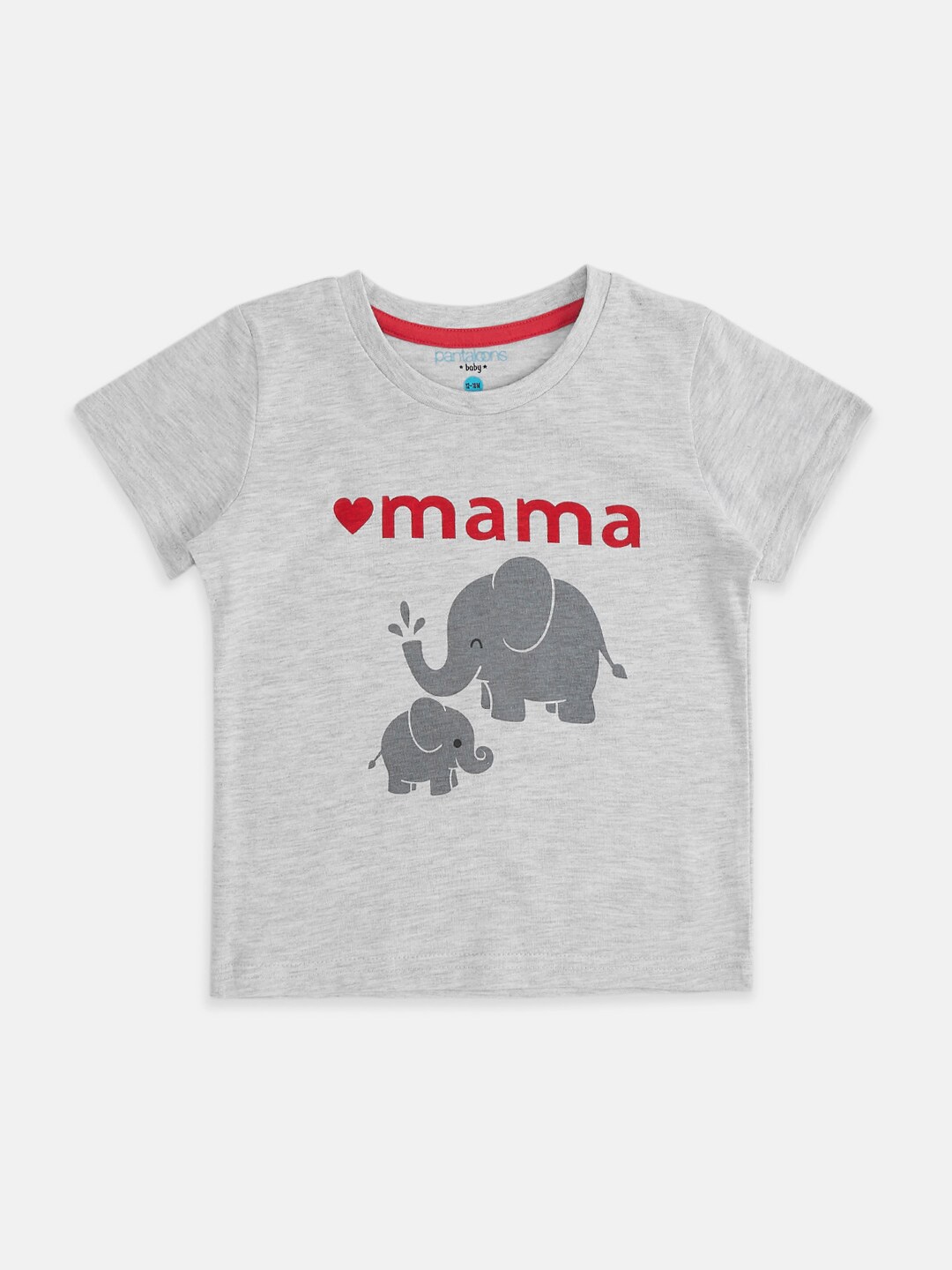 

Pantaloons Baby Boys Printed Cotton T-shirt, Grey