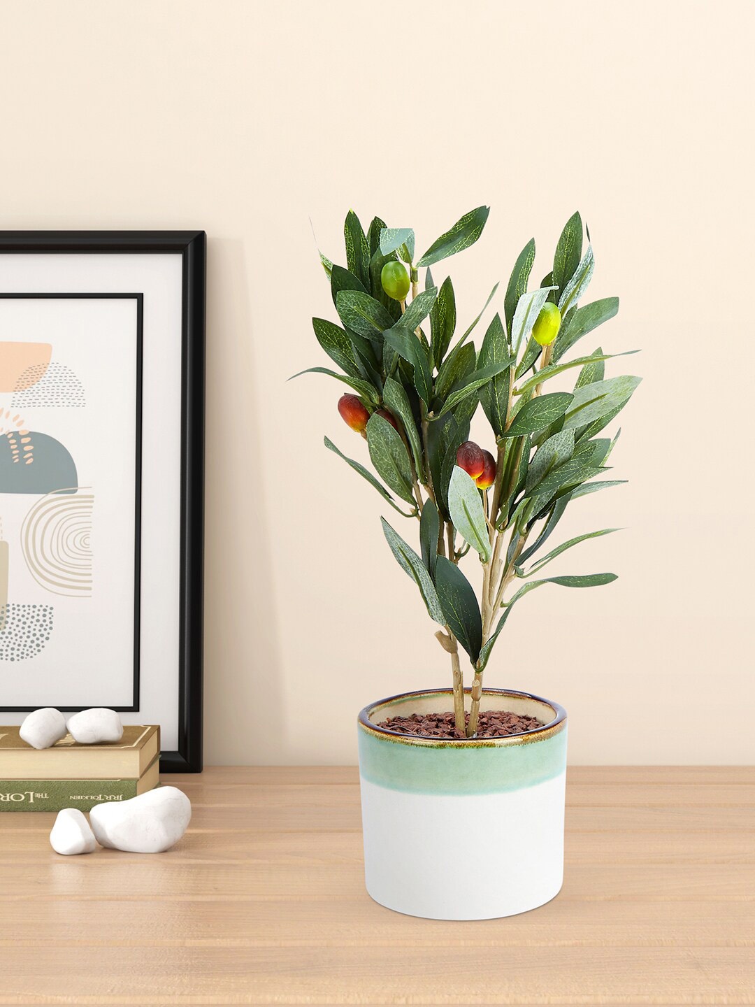 

Living scapes by Pantaloons Artificial Plant with Terracotta Pot, Green
