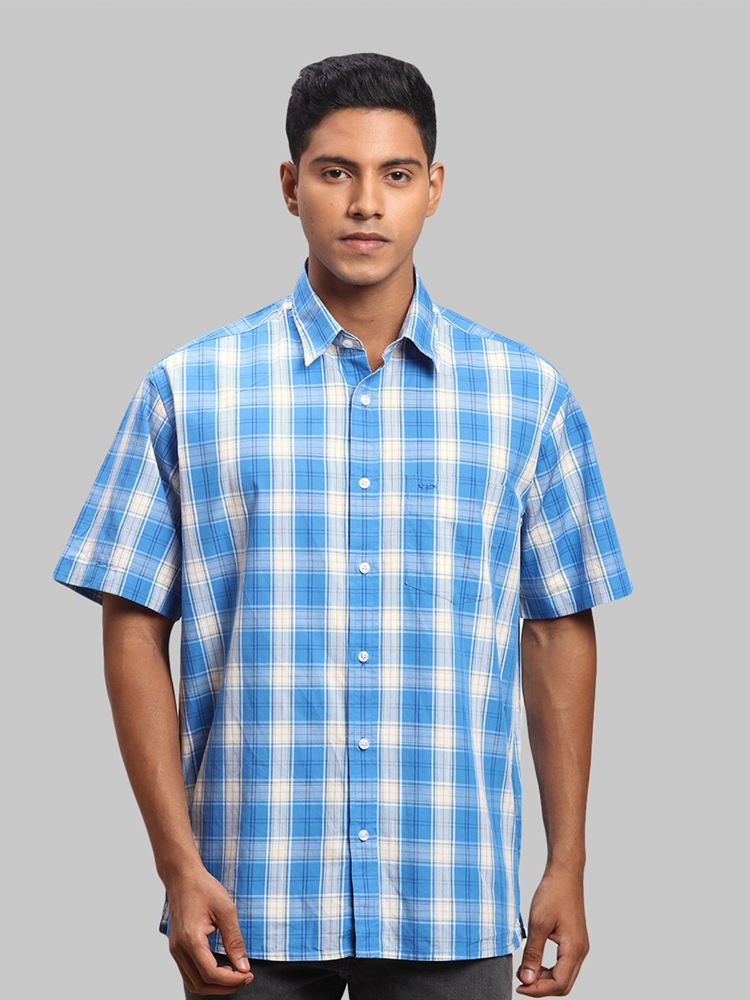 

ColorPlus Men Cotton Checked Casual Shirt, Blue