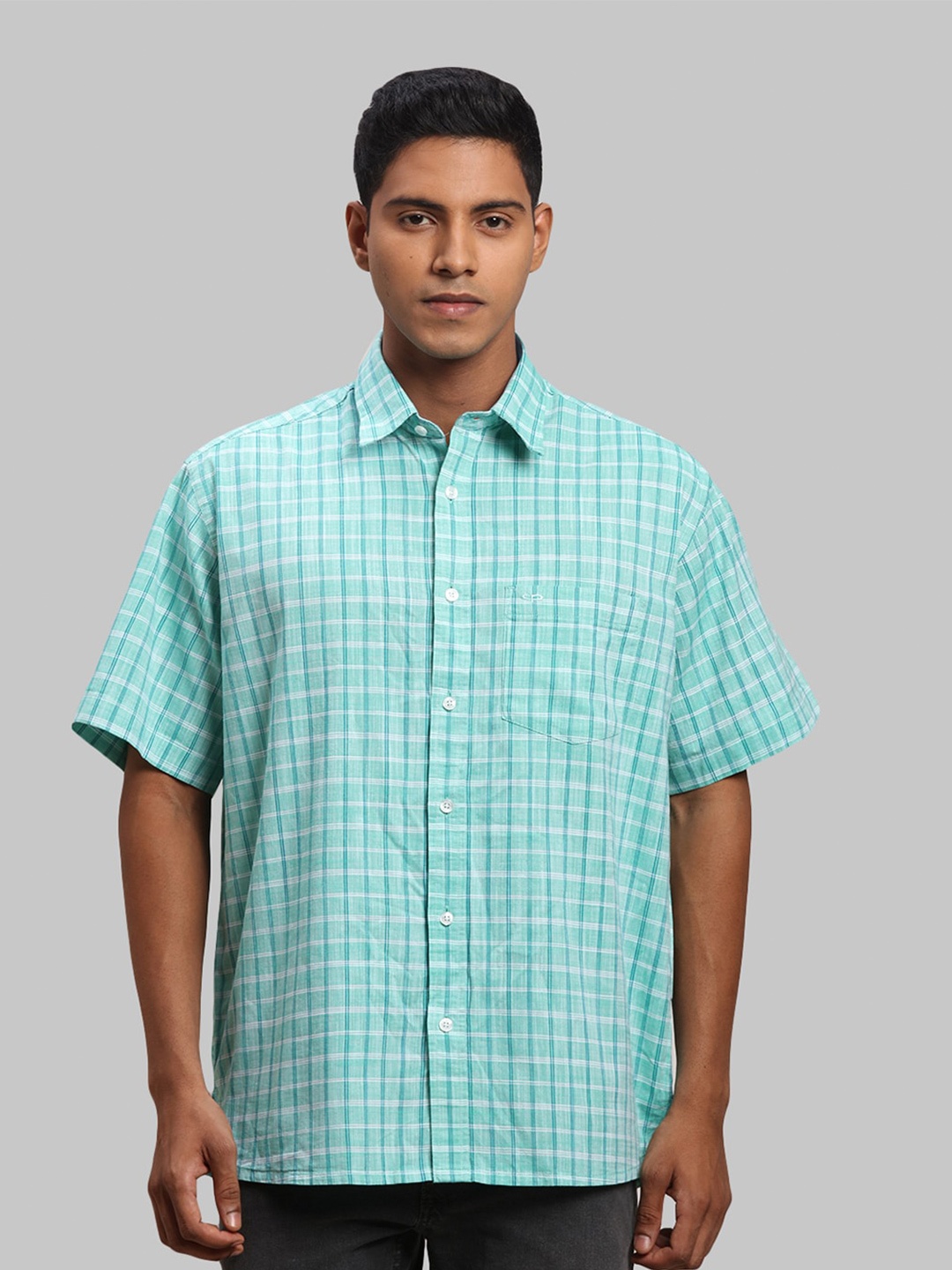 

ColorPlus Men Cotton Checked Casual Shirt, Green