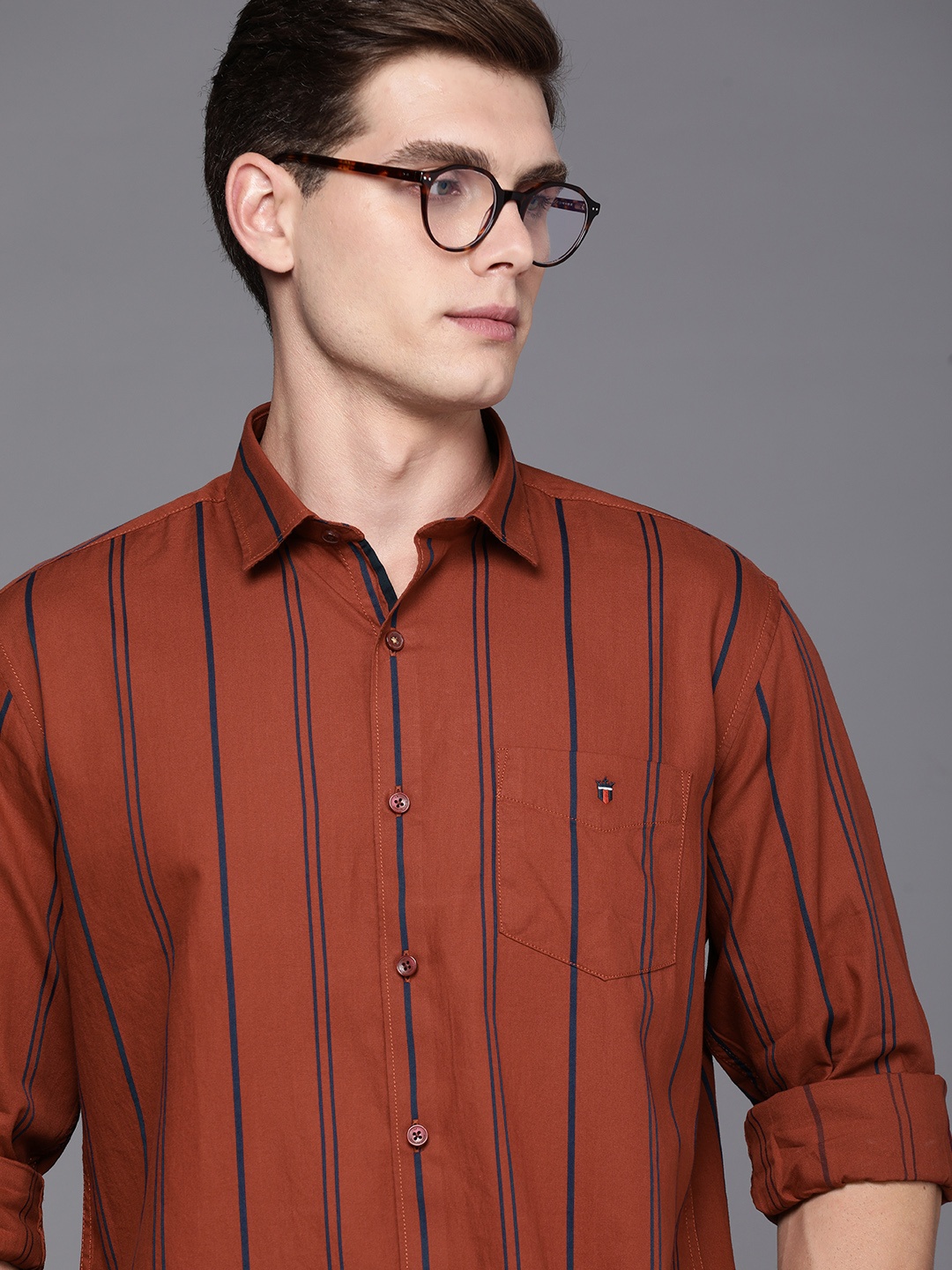 

Louis Philippe Sport Slim Fit Opaque Striped Pure Cotton Casual Shirt, Brown