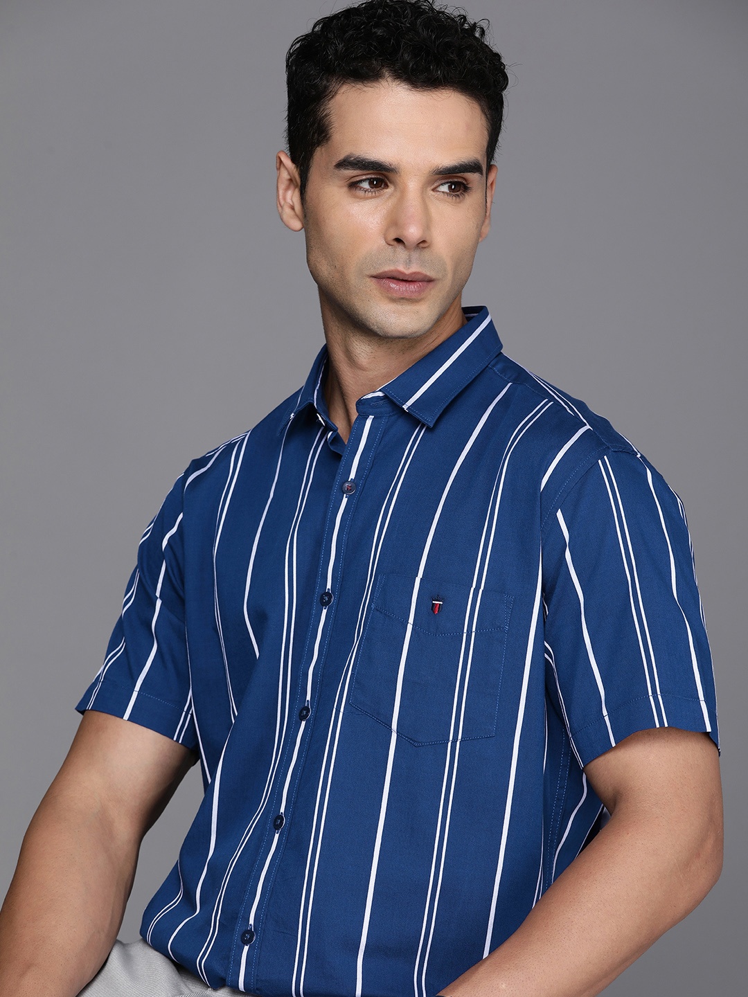 

Louis Philippe Sport Pure Cotton Slim Fit Striped Casual Shirt, Navy blue