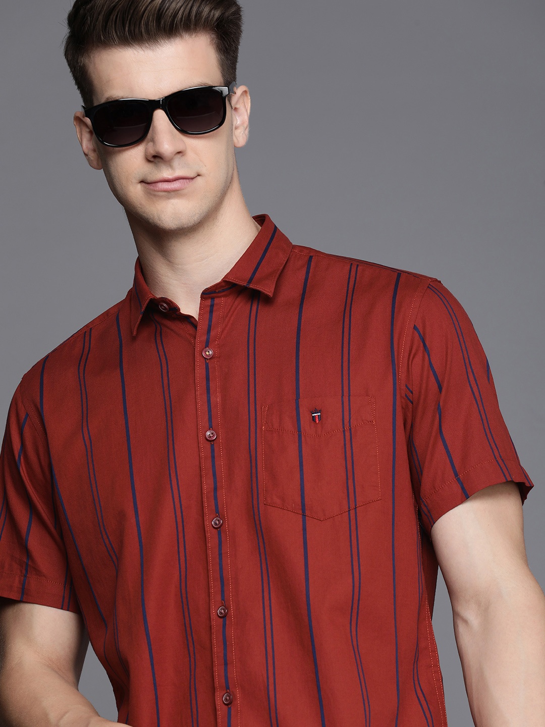 

Louis Philippe Sport Slim Fit Opaque Striped Pure Cotton Casual Shirt, Maroon