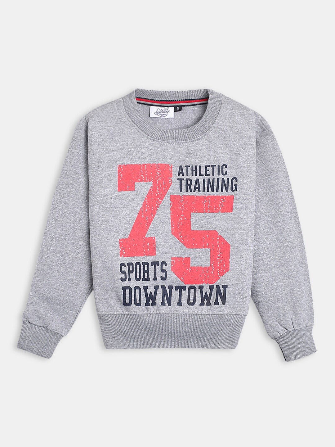 

Hopscotch Boys Printed Cotton Sweatshirt, Grey