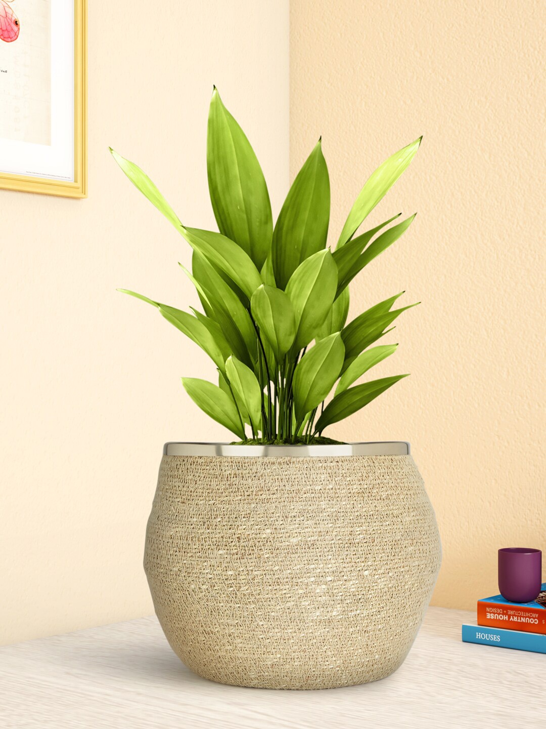 

Living scapes by Pantaloons Beige Self Design Jute Planter